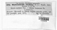 Pezicula ocellata image